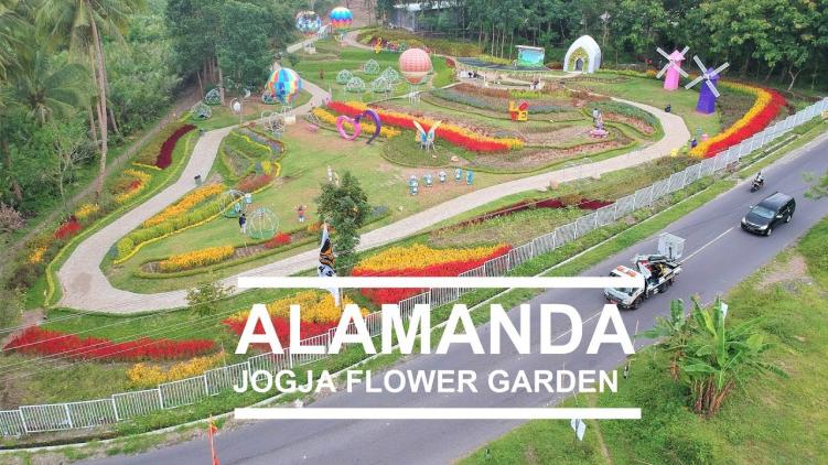 Alamanda Jogja Flower Garden | Spot Foto, Lokasi, Rute & Tiket Masuk